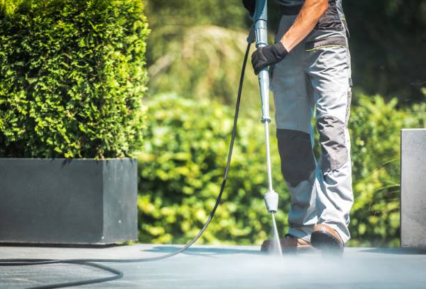 Animal Enclosure Cleaning in Grabill, IN