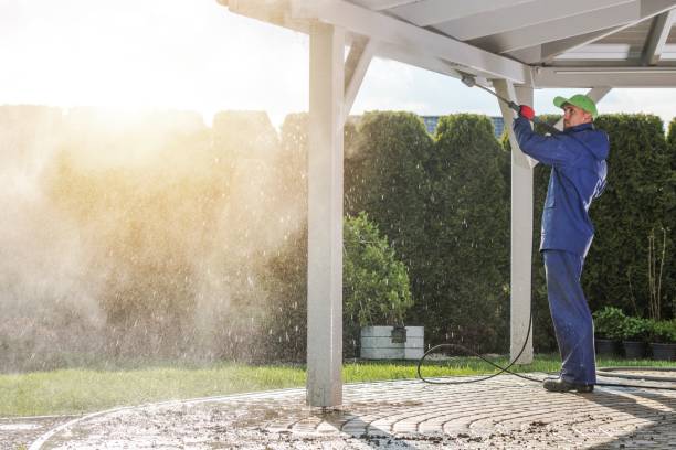 Best Animal Enclosure Cleaning  in Grabill, IN