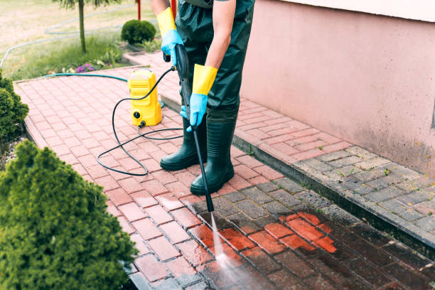 Best Roof Washing  in Grabill, IN